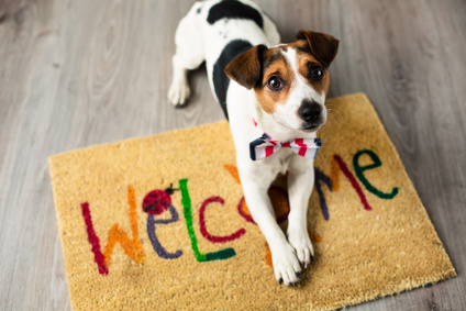 fotolia_73116832_xs.jpg