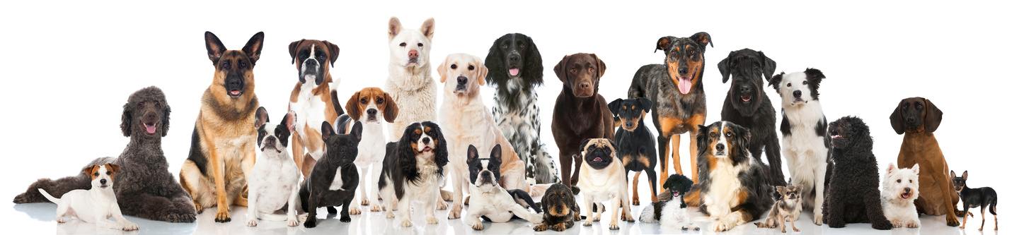 titelbanner.jpg titelbanner.jpg